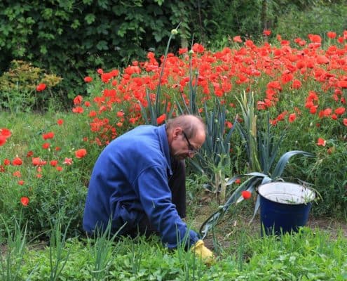 Vrijwilligers vrijwilligerswerk Kenniscentrum Vrijwilligers