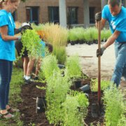 Vrijwilligers doen de tuin